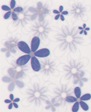 Gardenia blue 20x25