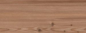 dCambium Walnut GT1225511R 120 x 20