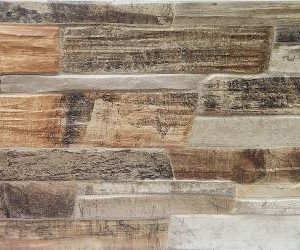GL638060 (* Visible Random Design) dTriassic Fossil 30x60