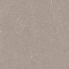 dFlorida Taupe GT602521R 60 x 60