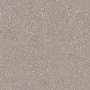 dFlorida Taupe GT602521R 60 x 60