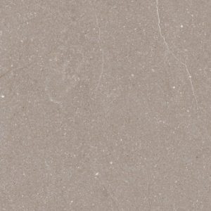 dFlorida Taupe GT602521R 60 x 60