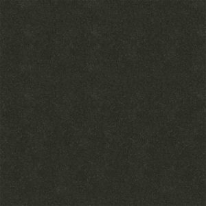 dBelvoir Black GT1009219HFR 100 x 100