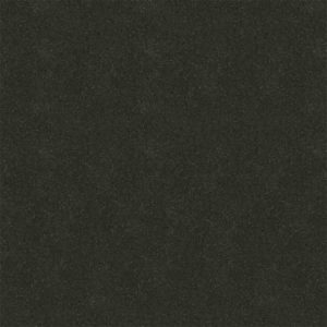 dBelvoir Black GT1009219HFR 100 x 100