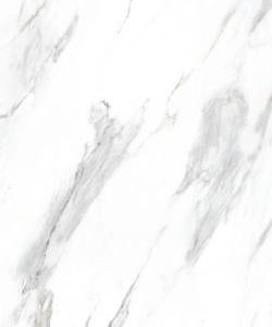 S63304 Carrara White 30x60 -