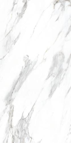 S63304 Carrara White 30x60 -